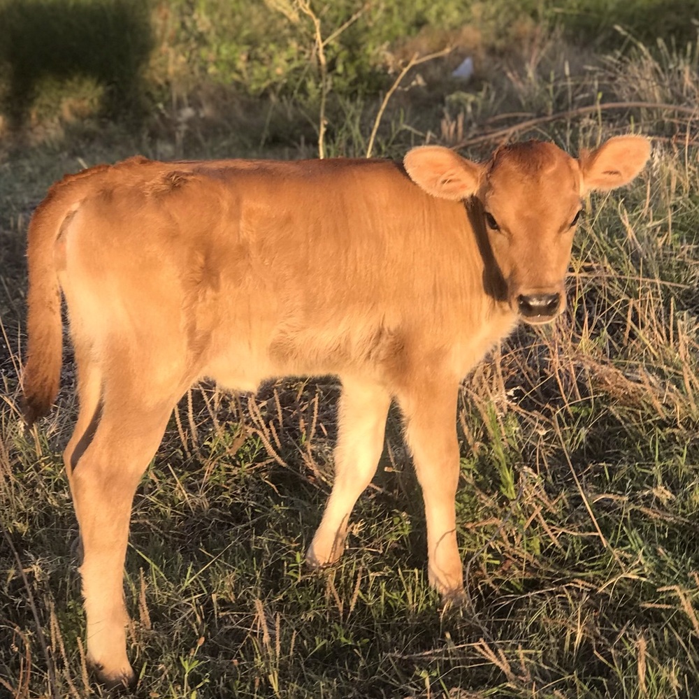 Meet your Posher, Phoebe Kate